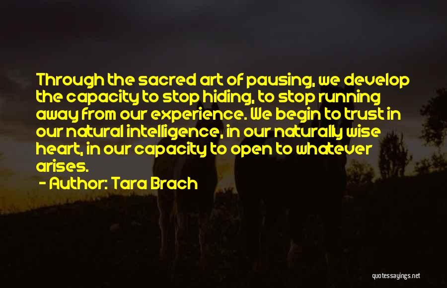 Tara Brach Quotes: Through The Sacred Art Of Pausing, We Develop The Capacity To Stop Hiding, To Stop Running Away From Our Experience.