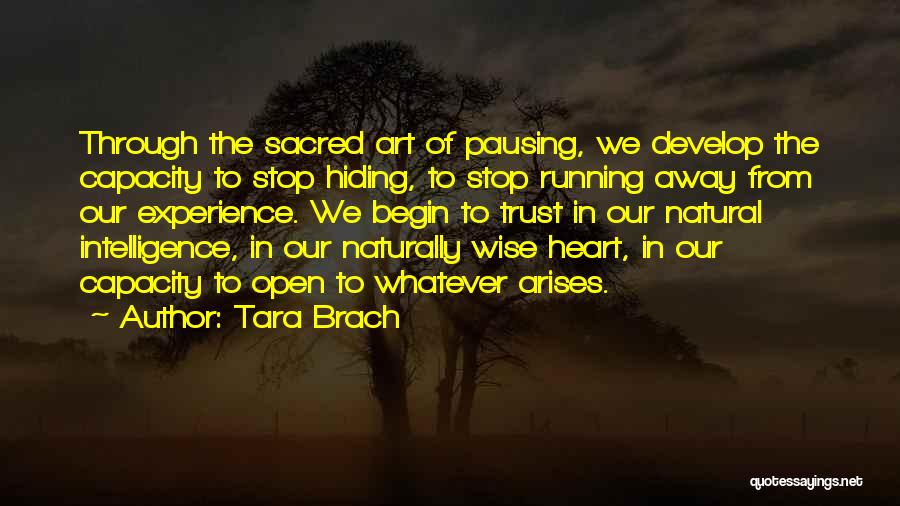 Tara Brach Quotes: Through The Sacred Art Of Pausing, We Develop The Capacity To Stop Hiding, To Stop Running Away From Our Experience.