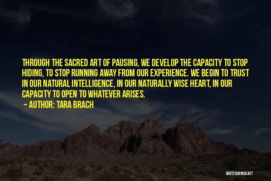 Tara Brach Quotes: Through The Sacred Art Of Pausing, We Develop The Capacity To Stop Hiding, To Stop Running Away From Our Experience.