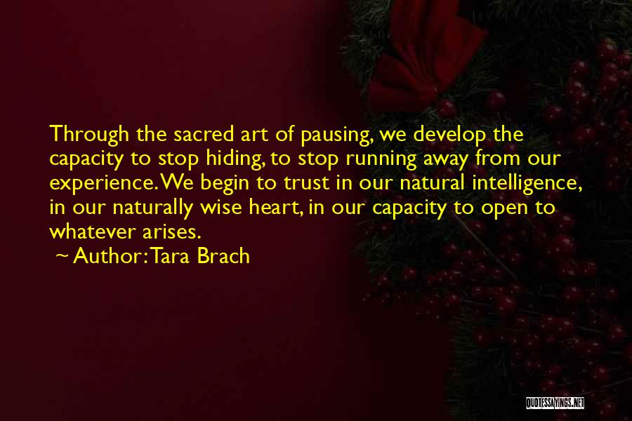 Tara Brach Quotes: Through The Sacred Art Of Pausing, We Develop The Capacity To Stop Hiding, To Stop Running Away From Our Experience.