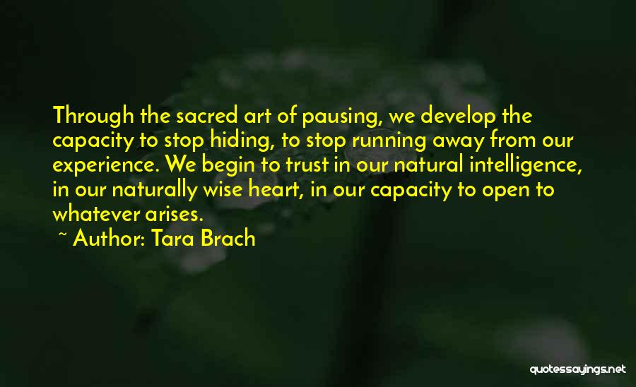 Tara Brach Quotes: Through The Sacred Art Of Pausing, We Develop The Capacity To Stop Hiding, To Stop Running Away From Our Experience.