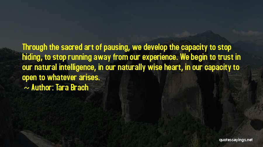 Tara Brach Quotes: Through The Sacred Art Of Pausing, We Develop The Capacity To Stop Hiding, To Stop Running Away From Our Experience.