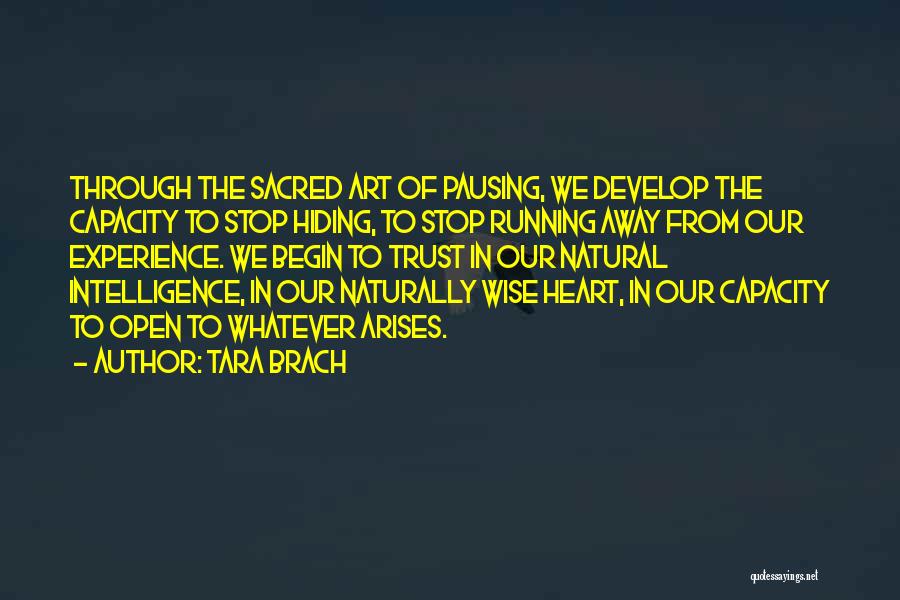 Tara Brach Quotes: Through The Sacred Art Of Pausing, We Develop The Capacity To Stop Hiding, To Stop Running Away From Our Experience.