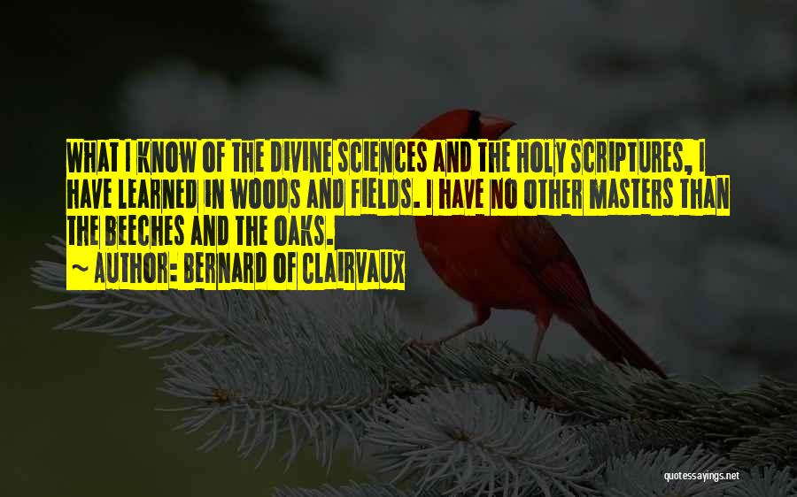 Bernard Of Clairvaux Quotes: What I Know Of The Divine Sciences And The Holy Scriptures, I Have Learned In Woods And Fields. I Have