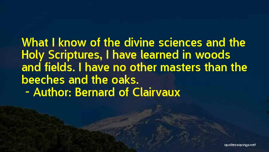 Bernard Of Clairvaux Quotes: What I Know Of The Divine Sciences And The Holy Scriptures, I Have Learned In Woods And Fields. I Have