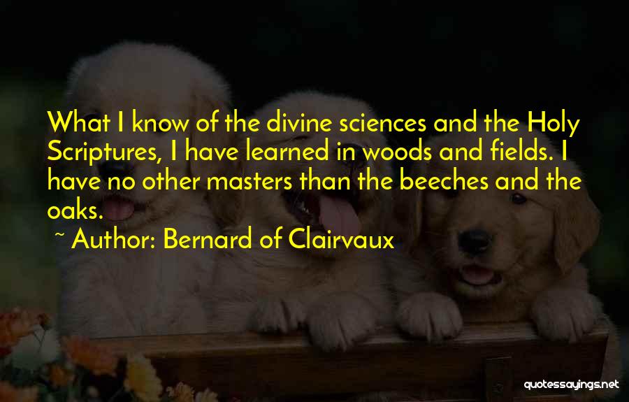 Bernard Of Clairvaux Quotes: What I Know Of The Divine Sciences And The Holy Scriptures, I Have Learned In Woods And Fields. I Have