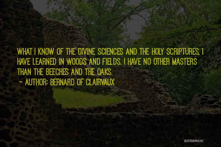 Bernard Of Clairvaux Quotes: What I Know Of The Divine Sciences And The Holy Scriptures, I Have Learned In Woods And Fields. I Have