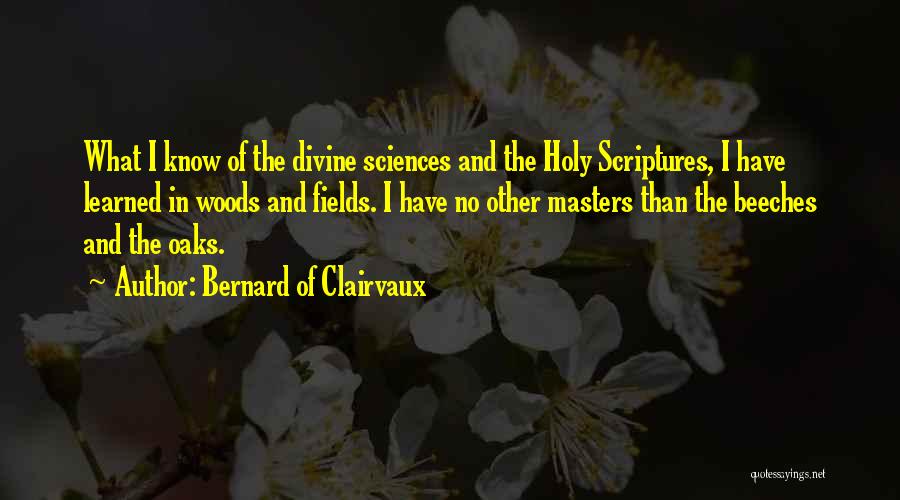 Bernard Of Clairvaux Quotes: What I Know Of The Divine Sciences And The Holy Scriptures, I Have Learned In Woods And Fields. I Have