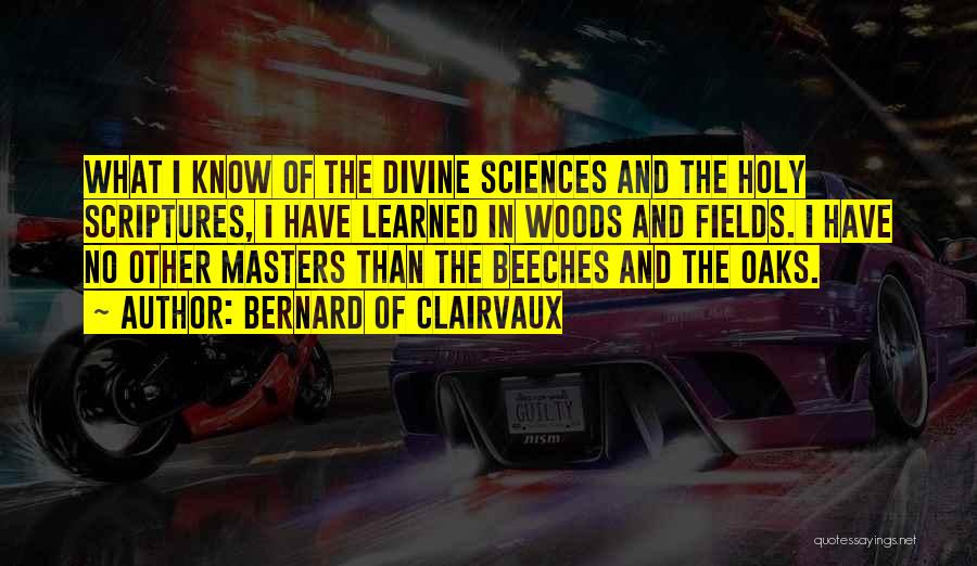 Bernard Of Clairvaux Quotes: What I Know Of The Divine Sciences And The Holy Scriptures, I Have Learned In Woods And Fields. I Have