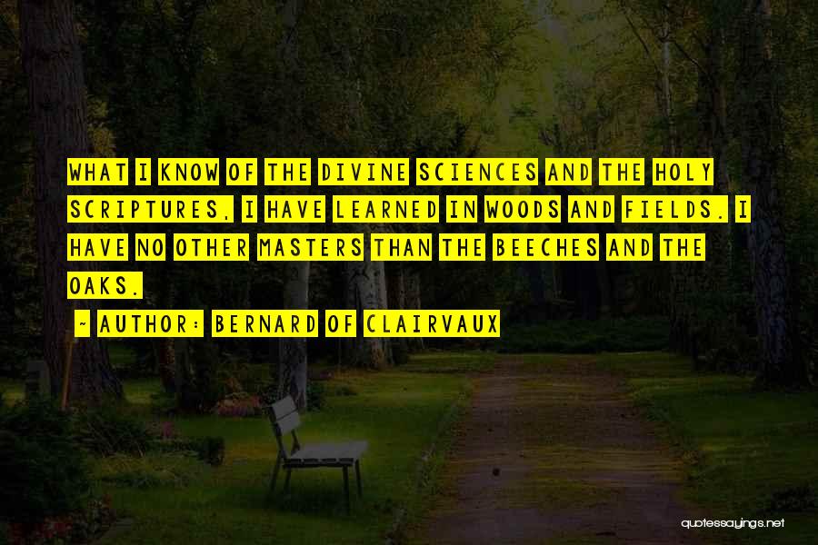 Bernard Of Clairvaux Quotes: What I Know Of The Divine Sciences And The Holy Scriptures, I Have Learned In Woods And Fields. I Have
