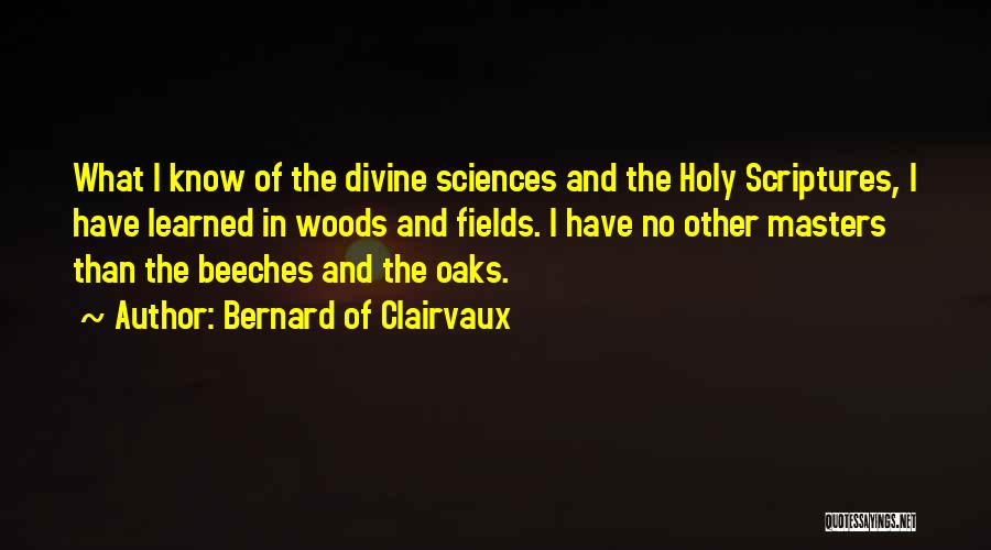 Bernard Of Clairvaux Quotes: What I Know Of The Divine Sciences And The Holy Scriptures, I Have Learned In Woods And Fields. I Have