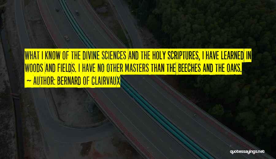Bernard Of Clairvaux Quotes: What I Know Of The Divine Sciences And The Holy Scriptures, I Have Learned In Woods And Fields. I Have