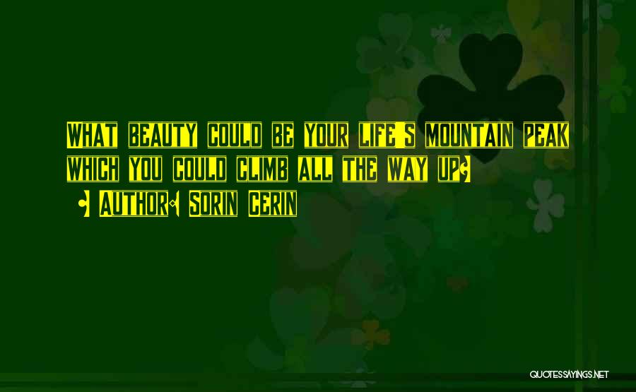 Sorin Cerin Quotes: What Beauty Could Be Your Life's Mountain Peak Which You Could Climb All The Way Up?