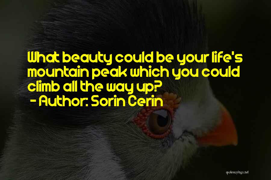 Sorin Cerin Quotes: What Beauty Could Be Your Life's Mountain Peak Which You Could Climb All The Way Up?