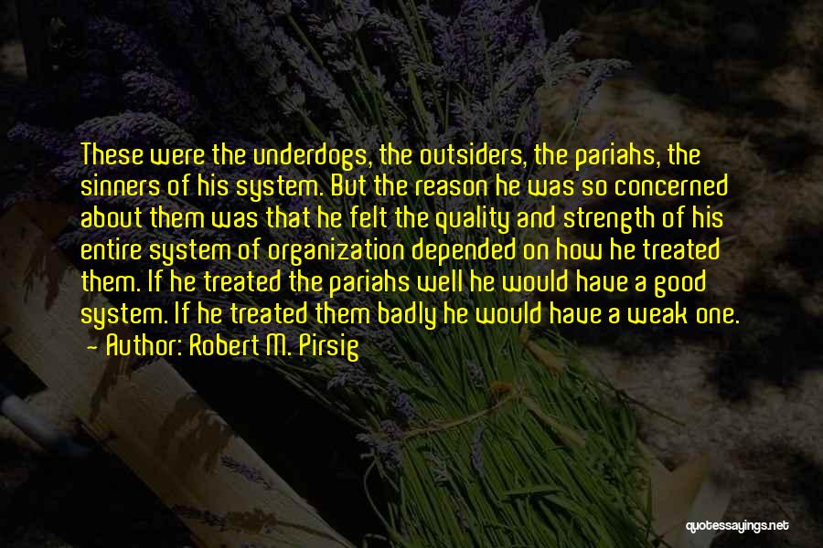 Robert M. Pirsig Quotes: These Were The Underdogs, The Outsiders, The Pariahs, The Sinners Of His System. But The Reason He Was So Concerned