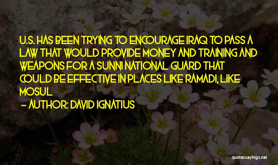David Ignatius Quotes: U.s. Has Been Trying To Encourage Iraq To Pass A Law That Would Provide Money And Training And Weapons For