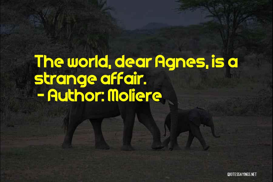 Moliere Quotes: The World, Dear Agnes, Is A Strange Affair.