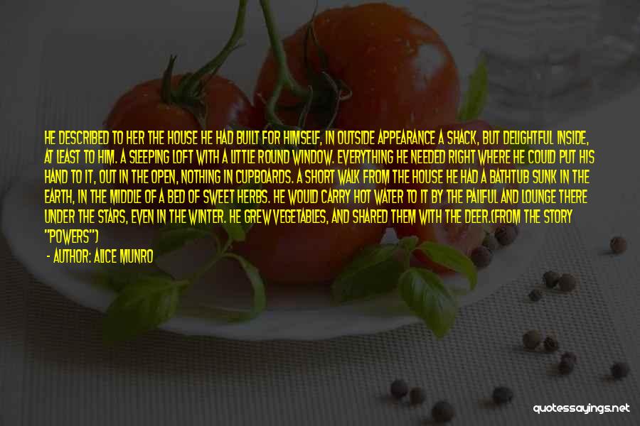 Alice Munro Quotes: He Described To Her The House He Had Built For Himself, In Outside Appearance A Shack, But Delightful Inside, At