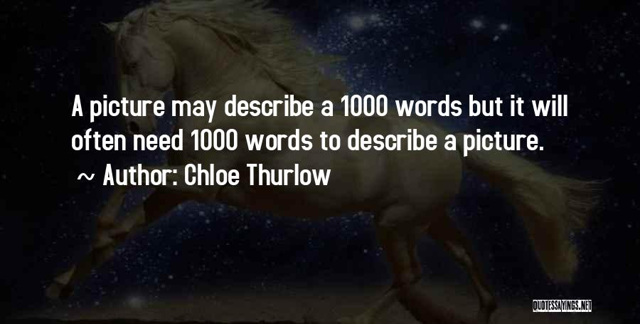 Chloe Thurlow Quotes: A Picture May Describe A 1000 Words But It Will Often Need 1000 Words To Describe A Picture.