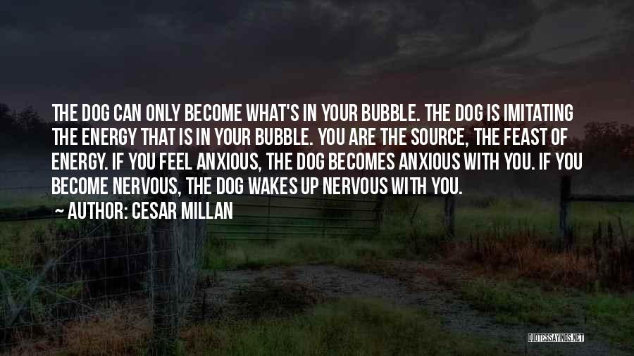 Cesar Millan Quotes: The Dog Can Only Become What's In Your Bubble. The Dog Is Imitating The Energy That Is In Your Bubble.