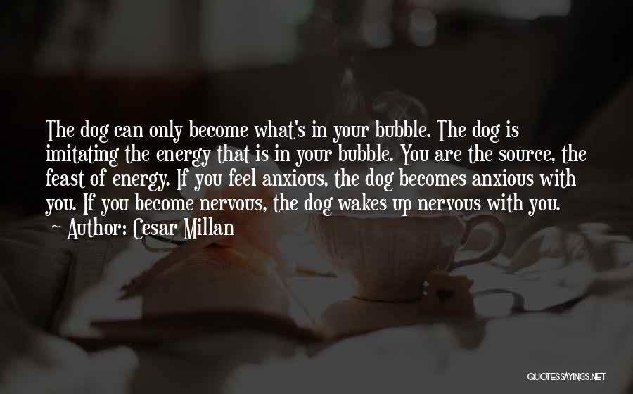 Cesar Millan Quotes: The Dog Can Only Become What's In Your Bubble. The Dog Is Imitating The Energy That Is In Your Bubble.