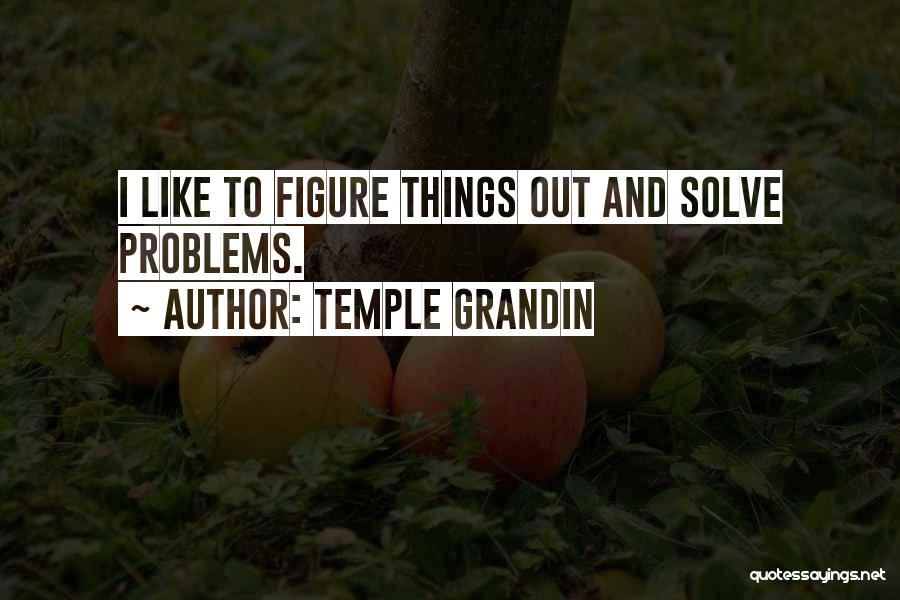 Temple Grandin Quotes: I Like To Figure Things Out And Solve Problems.