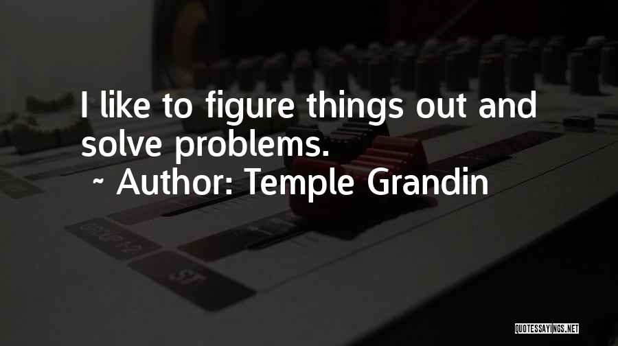 Temple Grandin Quotes: I Like To Figure Things Out And Solve Problems.