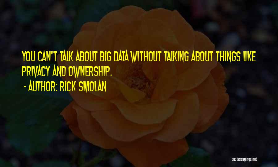 Rick Smolan Quotes: You Can't Talk About Big Data Without Talking About Things Like Privacy And Ownership.