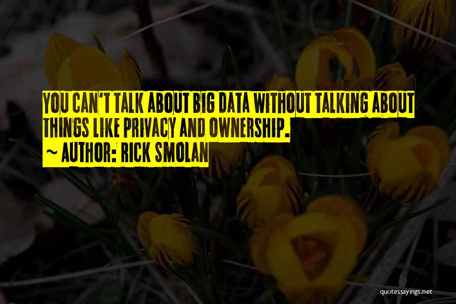 Rick Smolan Quotes: You Can't Talk About Big Data Without Talking About Things Like Privacy And Ownership.