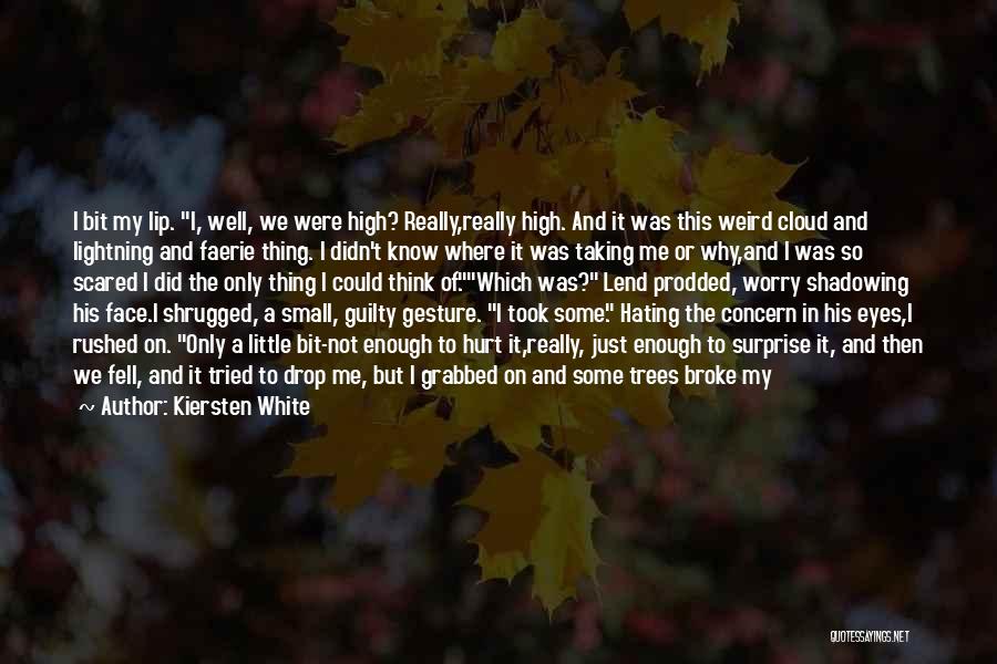 Kiersten White Quotes: I Bit My Lip. I, Well, We Were High? Really,really High. And It Was This Weird Cloud And Lightning And