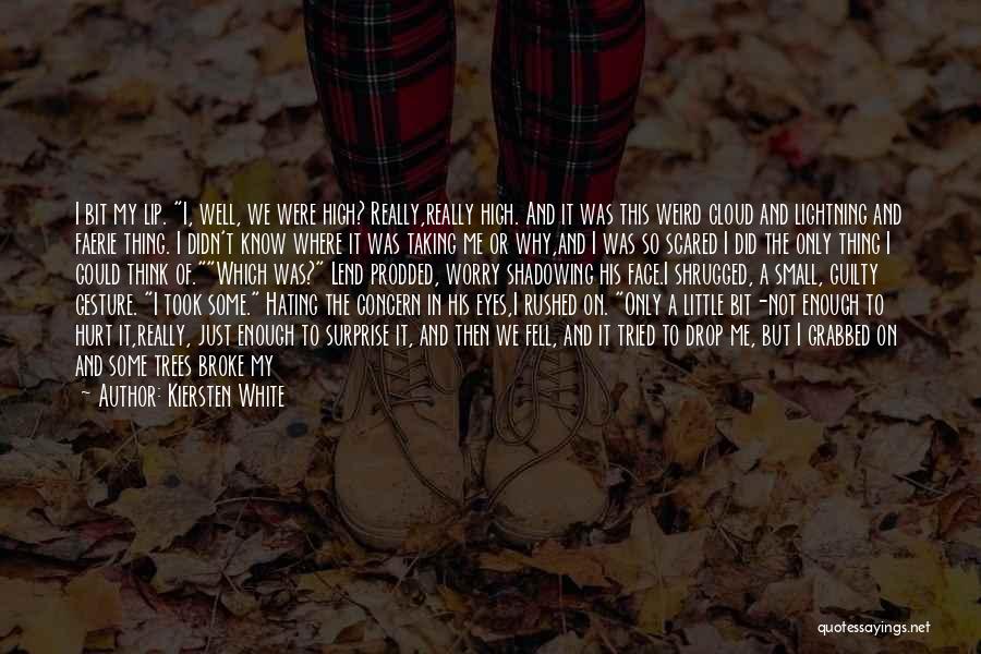 Kiersten White Quotes: I Bit My Lip. I, Well, We Were High? Really,really High. And It Was This Weird Cloud And Lightning And