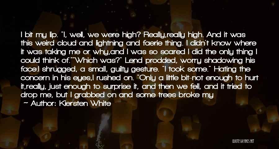 Kiersten White Quotes: I Bit My Lip. I, Well, We Were High? Really,really High. And It Was This Weird Cloud And Lightning And