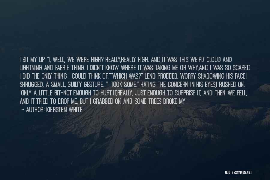 Kiersten White Quotes: I Bit My Lip. I, Well, We Were High? Really,really High. And It Was This Weird Cloud And Lightning And