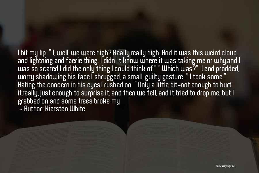 Kiersten White Quotes: I Bit My Lip. I, Well, We Were High? Really,really High. And It Was This Weird Cloud And Lightning And
