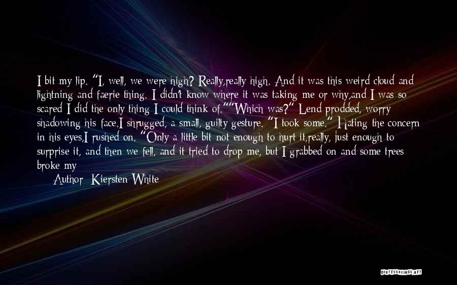 Kiersten White Quotes: I Bit My Lip. I, Well, We Were High? Really,really High. And It Was This Weird Cloud And Lightning And