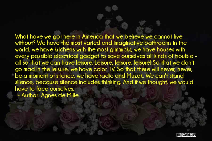 Agnes De Mille Quotes: What Have We Got Here In America That We Believe We Cannot Live Without? We Have The Most Varied And