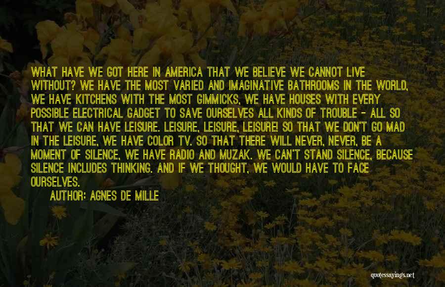 Agnes De Mille Quotes: What Have We Got Here In America That We Believe We Cannot Live Without? We Have The Most Varied And