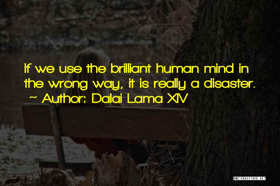 Dalai Lama XIV Quotes: If We Use The Brilliant Human Mind In The Wrong Way, It Is Really A Disaster.