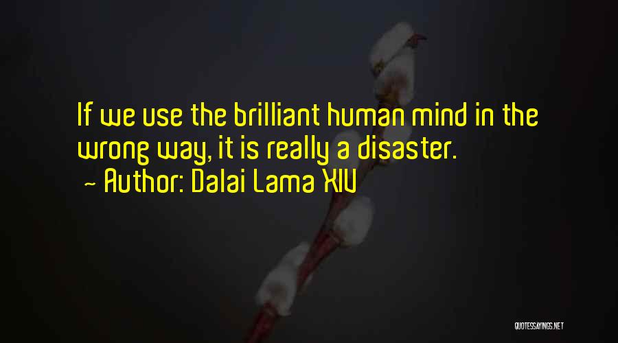 Dalai Lama XIV Quotes: If We Use The Brilliant Human Mind In The Wrong Way, It Is Really A Disaster.