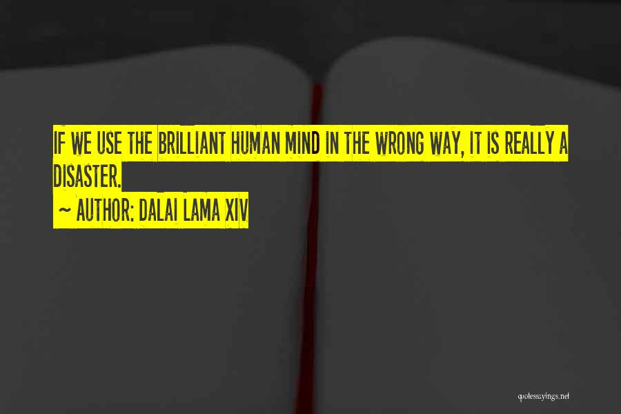 Dalai Lama XIV Quotes: If We Use The Brilliant Human Mind In The Wrong Way, It Is Really A Disaster.