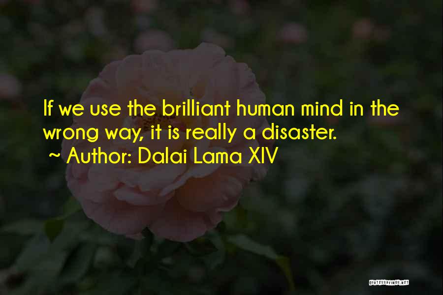 Dalai Lama XIV Quotes: If We Use The Brilliant Human Mind In The Wrong Way, It Is Really A Disaster.