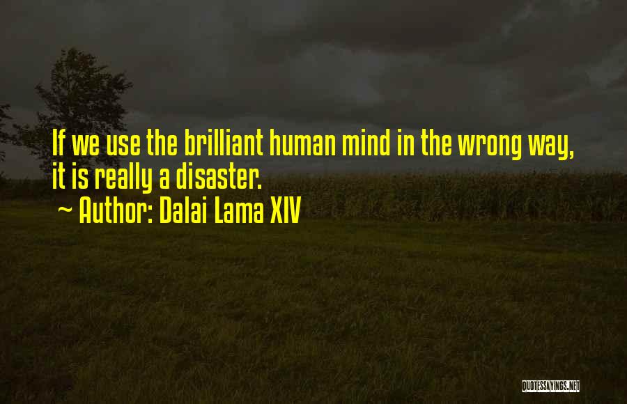 Dalai Lama XIV Quotes: If We Use The Brilliant Human Mind In The Wrong Way, It Is Really A Disaster.