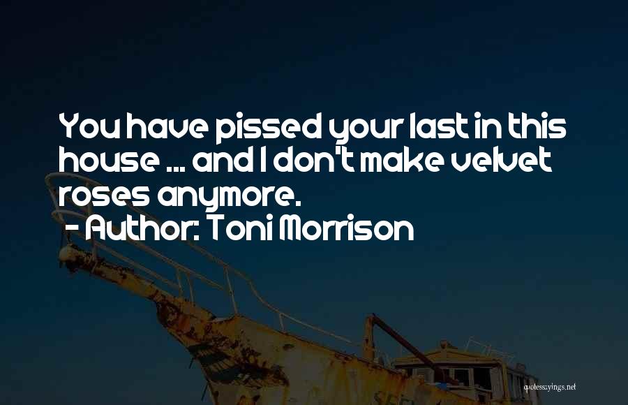 Toni Morrison Quotes: You Have Pissed Your Last In This House ... And I Don't Make Velvet Roses Anymore.
