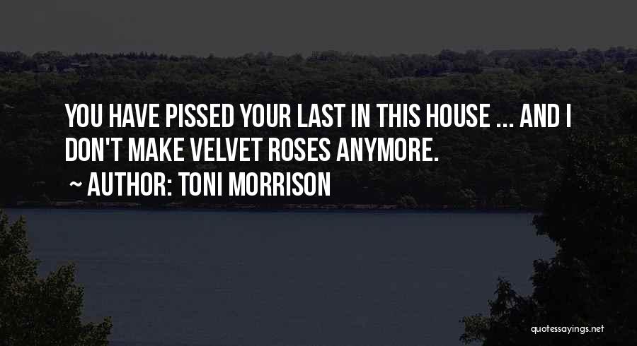 Toni Morrison Quotes: You Have Pissed Your Last In This House ... And I Don't Make Velvet Roses Anymore.