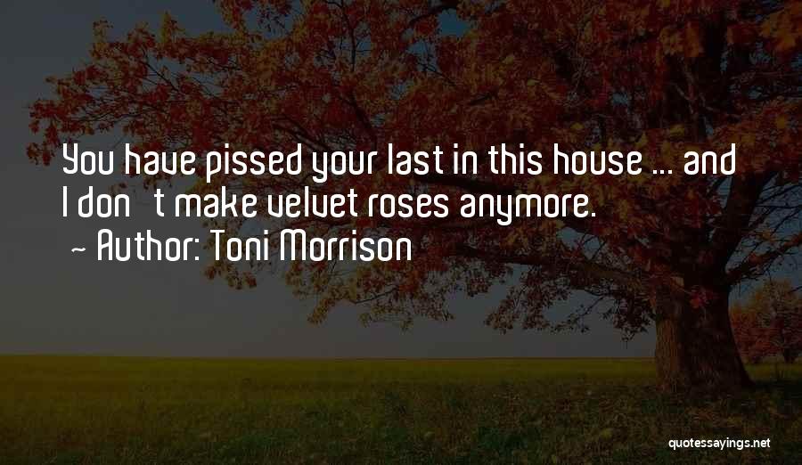 Toni Morrison Quotes: You Have Pissed Your Last In This House ... And I Don't Make Velvet Roses Anymore.