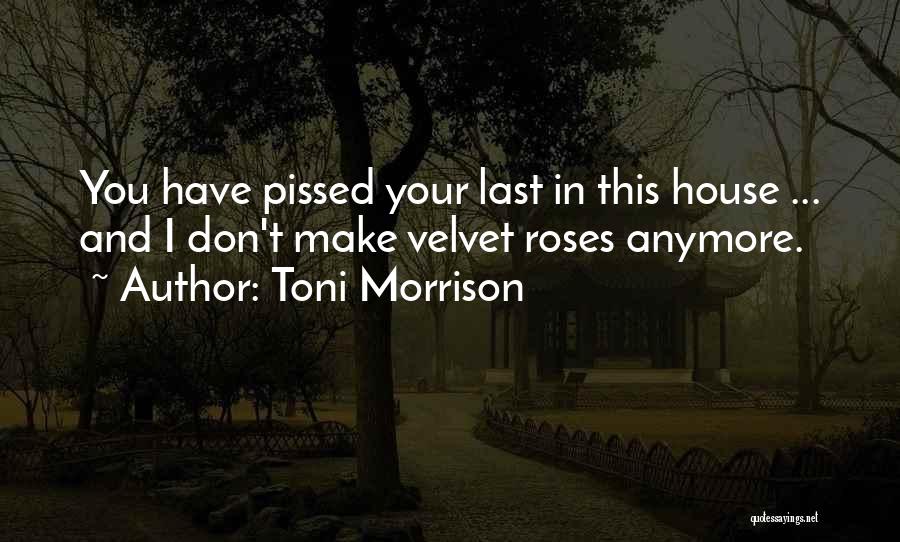 Toni Morrison Quotes: You Have Pissed Your Last In This House ... And I Don't Make Velvet Roses Anymore.