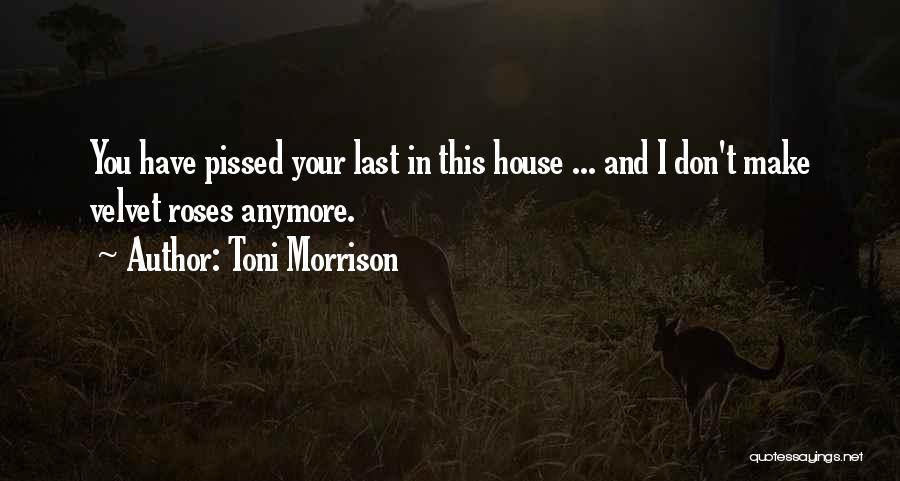 Toni Morrison Quotes: You Have Pissed Your Last In This House ... And I Don't Make Velvet Roses Anymore.