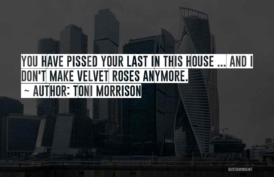 Toni Morrison Quotes: You Have Pissed Your Last In This House ... And I Don't Make Velvet Roses Anymore.