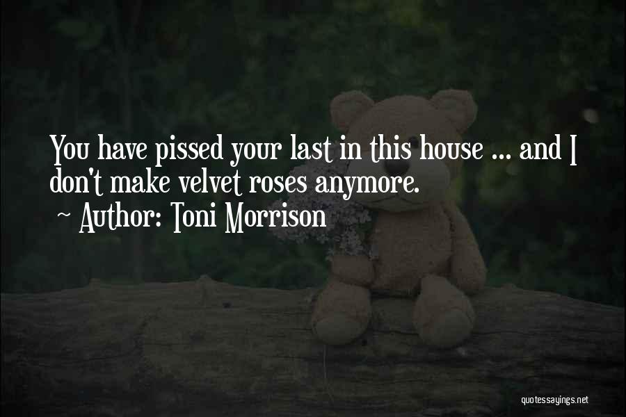 Toni Morrison Quotes: You Have Pissed Your Last In This House ... And I Don't Make Velvet Roses Anymore.