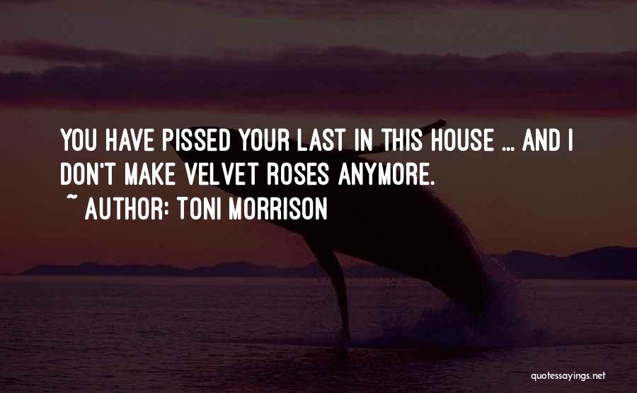 Toni Morrison Quotes: You Have Pissed Your Last In This House ... And I Don't Make Velvet Roses Anymore.